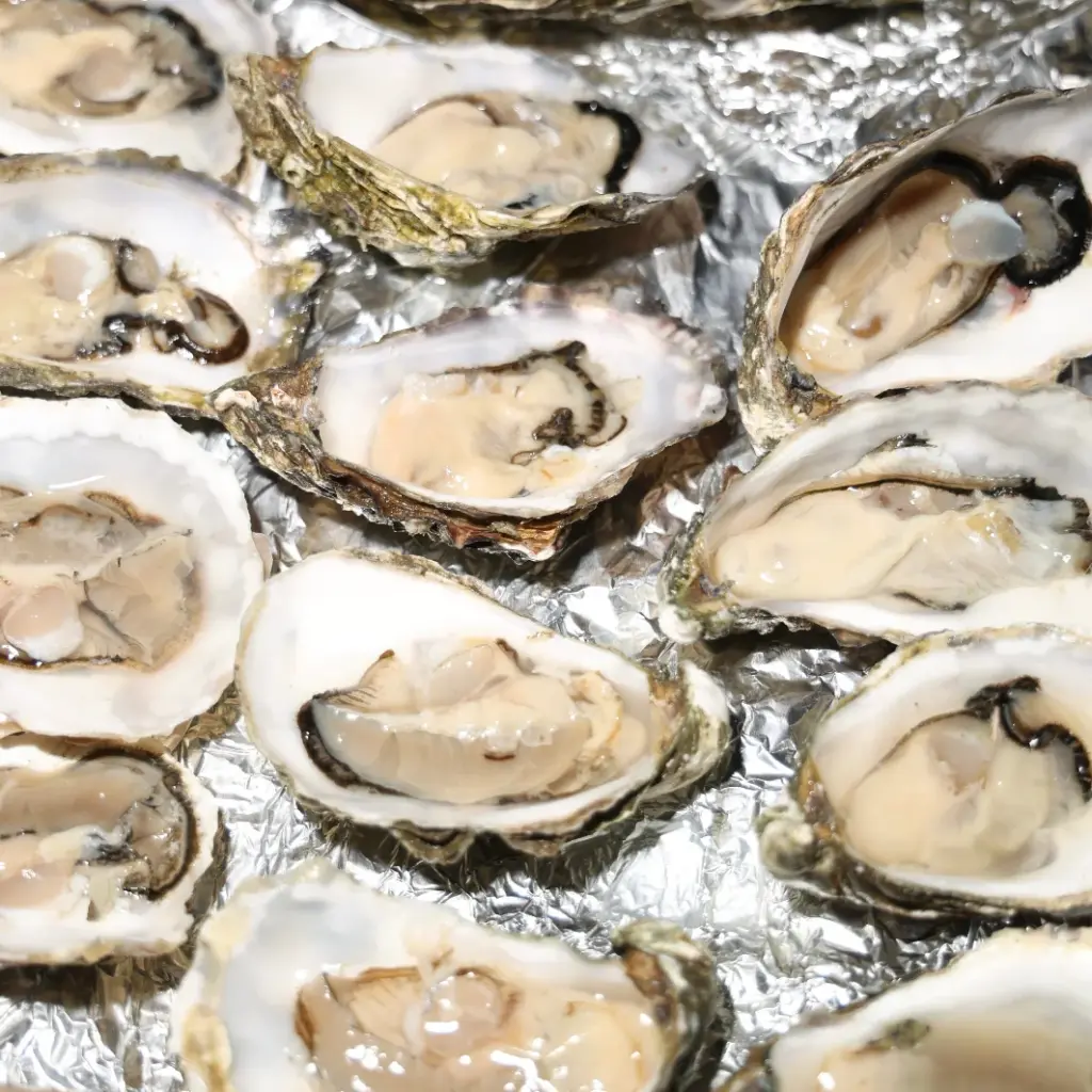 FRANKFURTER NEUE KÜCHE Küchenparty Oyster Galore