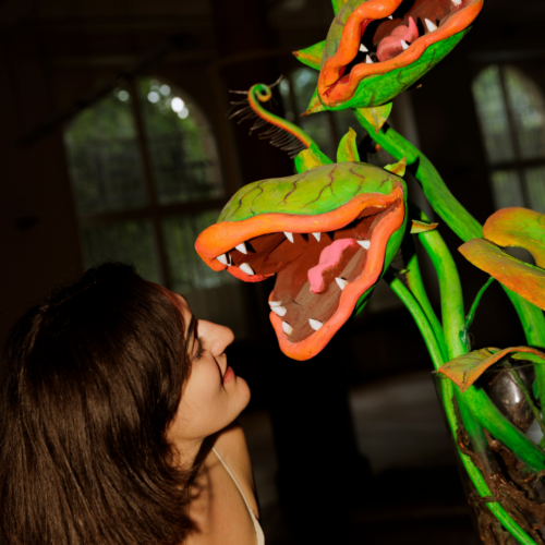 Frankfurter Neue Küche Foto Katrin Binner