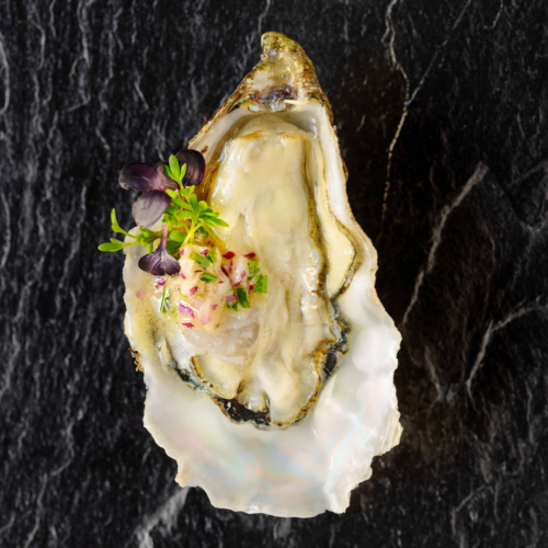 FRANKFURTER NEUE KÜCHE Küchenparty Oyster Galore