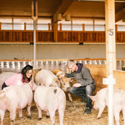 BIOHOF MAY Foto Sebastian Schramm